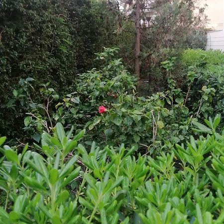 " Domus Coralla" Bnb Racconti Di Viaggio Catânia Exterior foto