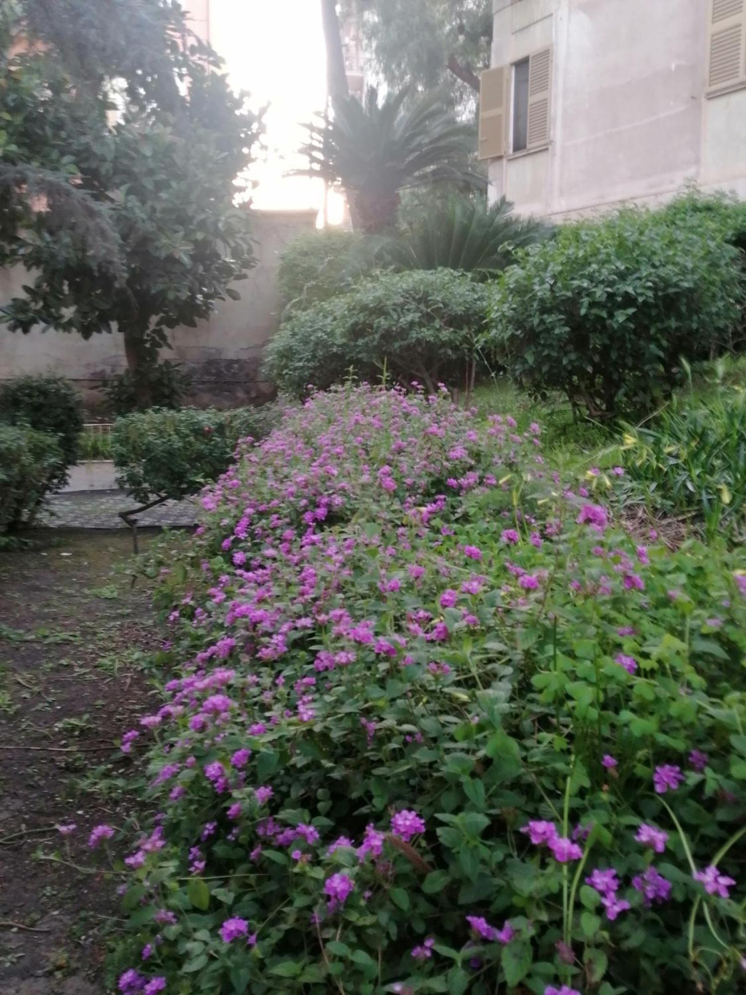 " Domus Coralla" Bnb Racconti Di Viaggio Catânia Exterior foto